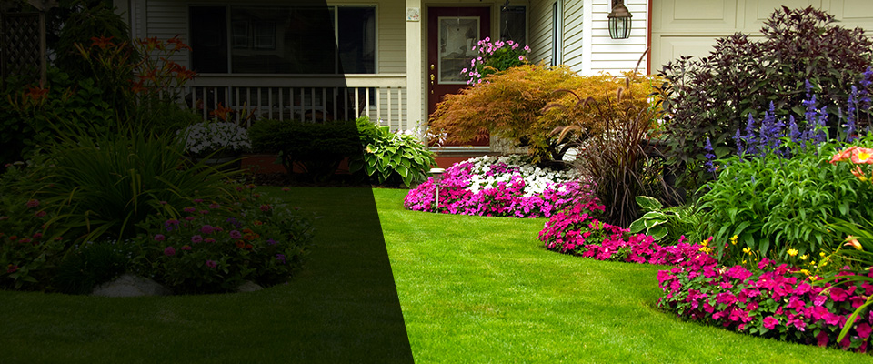 Mckinney Landscapers