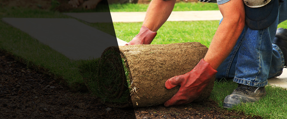 Mckinney Landscapers